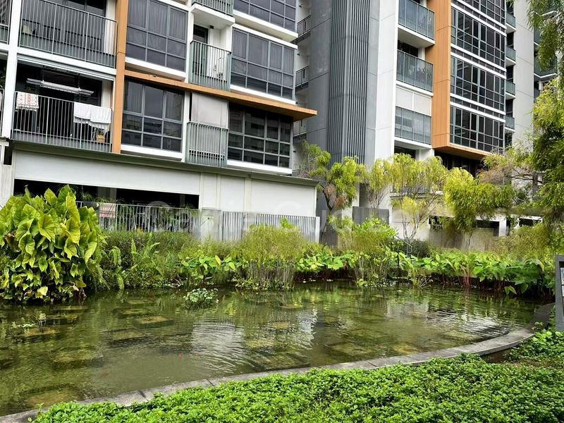 Room (Condo) for Rent in  Coco Palms - Image 3